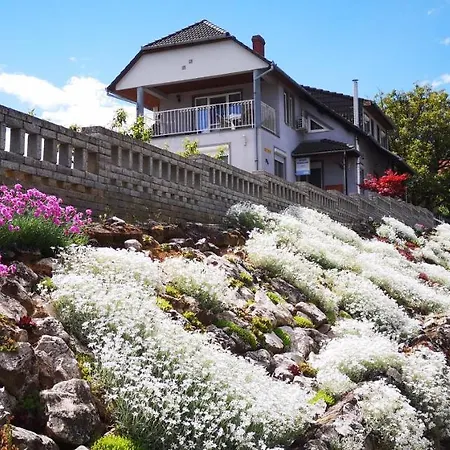 Guest house Szabo Vendeghaz